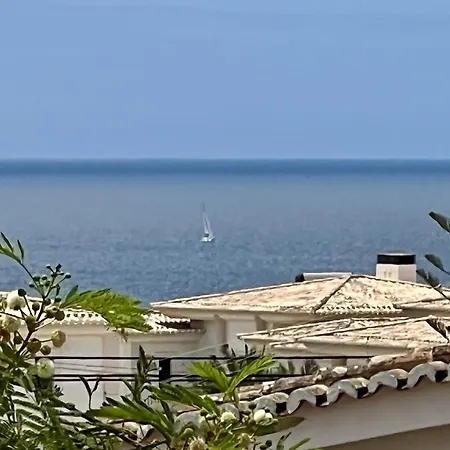 Ocean Breeze By Homing